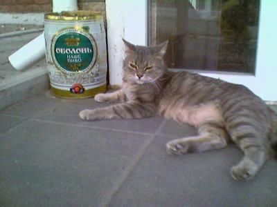 Прикрепленное изображение: 39.jpeg